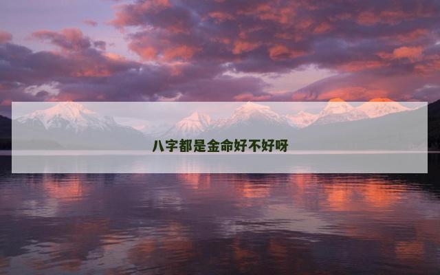 八字都是金命好不好呀