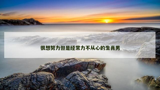 很想努力但是经常力不从心的生肖男