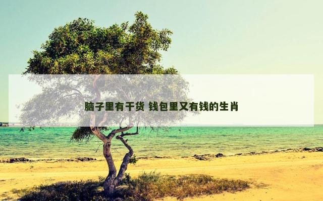 脑子里有干货 钱包里又有钱的生肖
