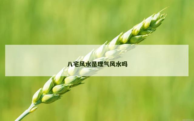 八宅风水是理气风水吗