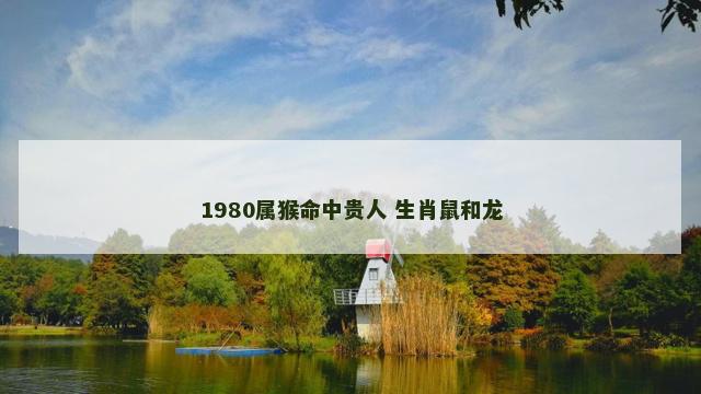 1980属猴命中贵人 生肖鼠和龙