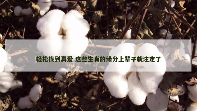 轻松找到真爱 这些生肖的缘分上辈子就注定了