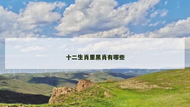 十二生肖里黑肖有哪些