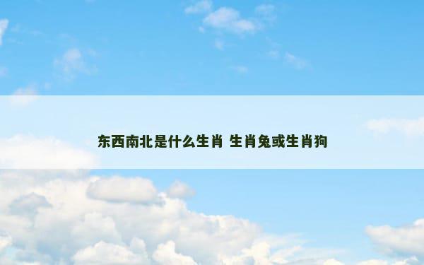 东西南北是什么生肖 生肖兔或生肖狗