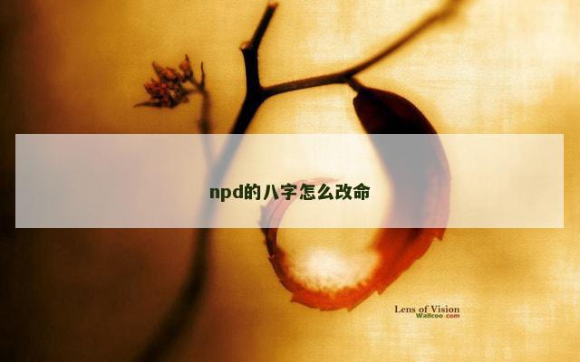 npd的八字怎么改命