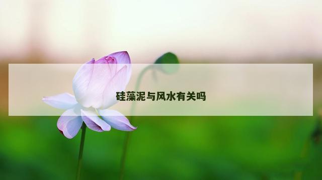 硅藻泥与风水有关吗