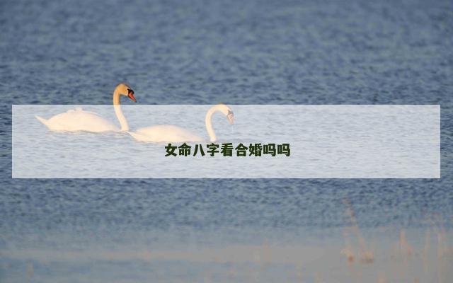 女命八字看合婚吗吗