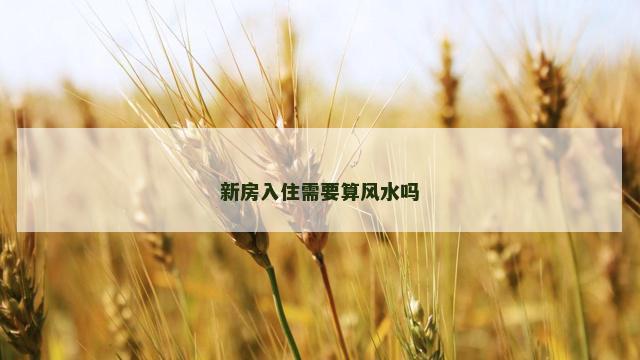 新房入住需要算风水吗
