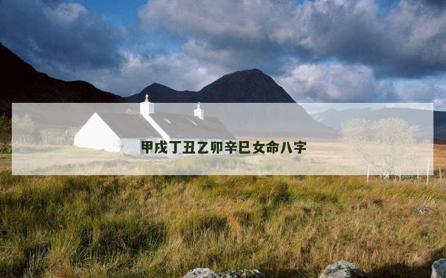 甲戌丁丑乙卯辛巳女命八字