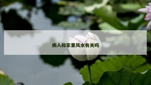 病人和家里风水有关吗
