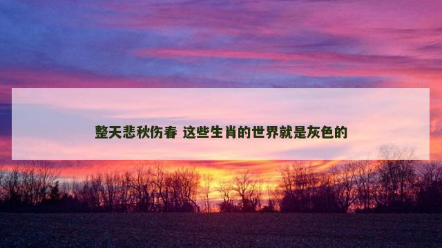 整天悲秋伤春 这些生肖的世界就是灰色的