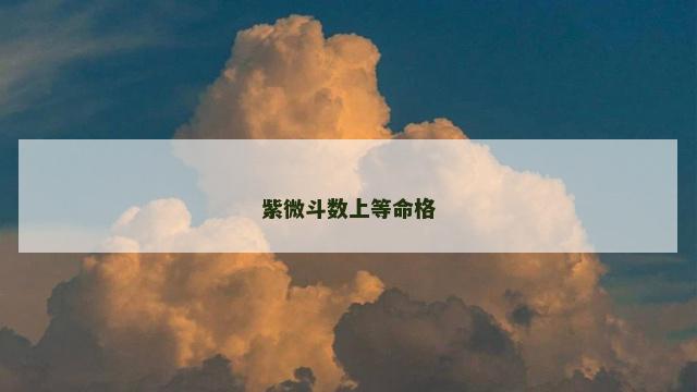 紫微斗数上等命格
