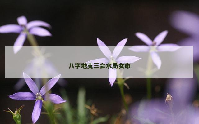 八字地支三会水局女命