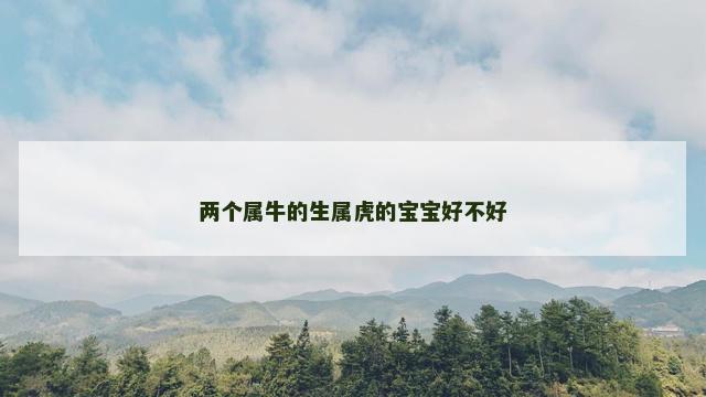 两个属牛的生属虎的宝宝好不好
