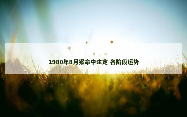 1980年8月猴命中注定 各阶段运势