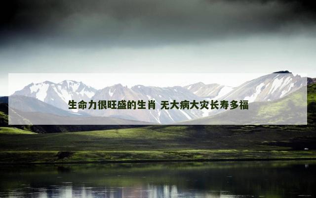生命力很旺盛的生肖 无大病大灾长寿多福