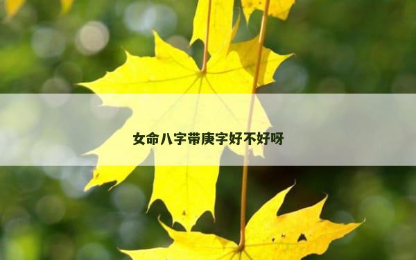 女命八字带庚字好不好呀