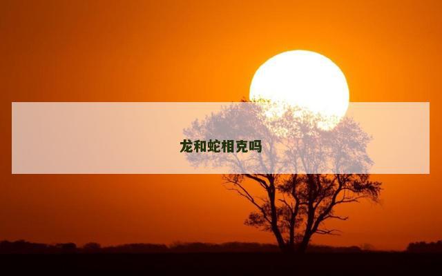 龙和蛇相克吗