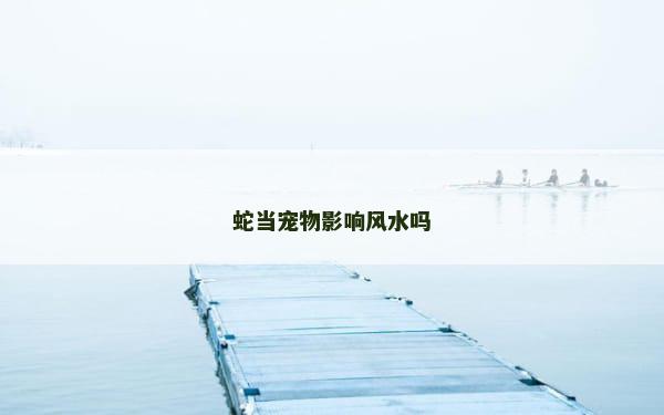 蛇当宠物影响风水吗
