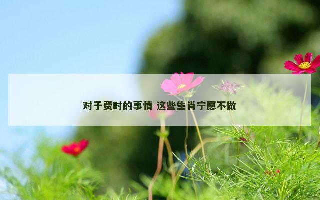 对于费时的事情 这些生肖宁愿不做