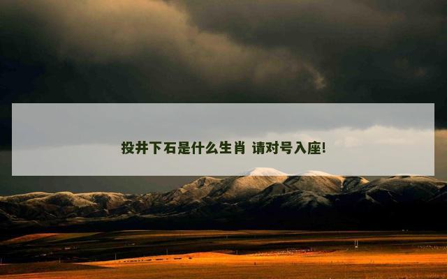 投井下石是什么生肖 请对号入座!