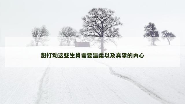 想打动这些生肖需要温柔以及真挚的内心