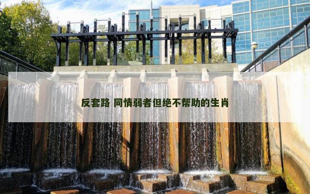 反套路 同情弱者但绝不帮助的生肖