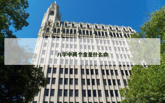 八字中两个金是什么命