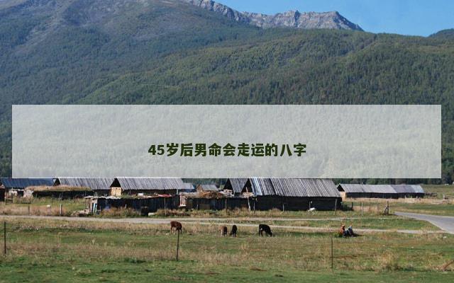 45岁后男命会走运的八字