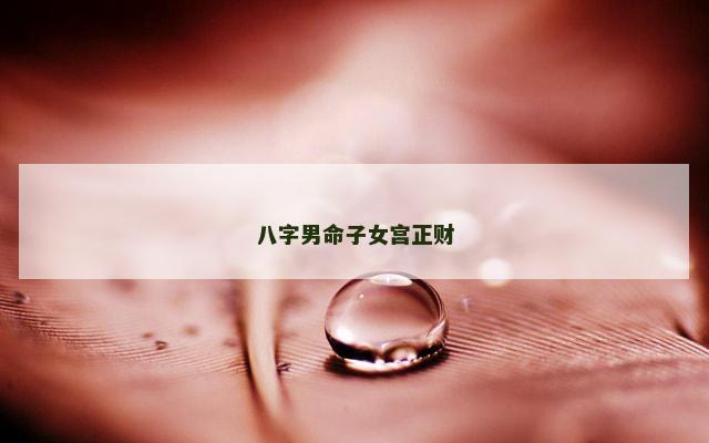 八字男命子女宫正财