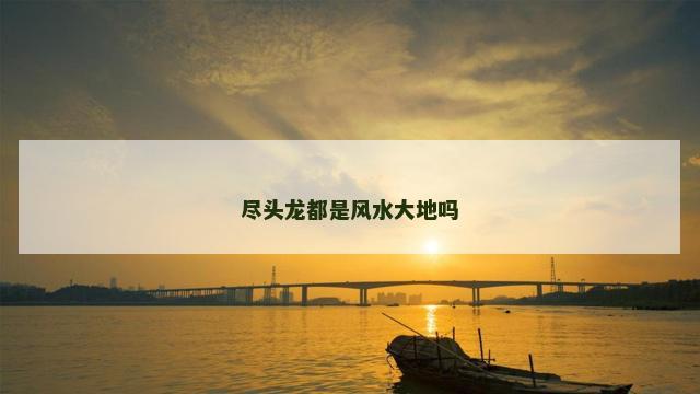尽头龙都是风水大地吗