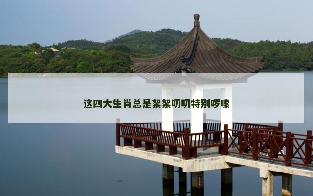 这四大生肖总是絮絮叨叨特别啰嗦