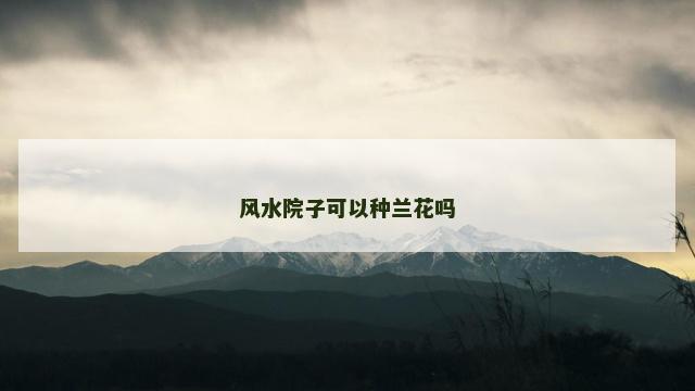 风水院子可以种兰花吗