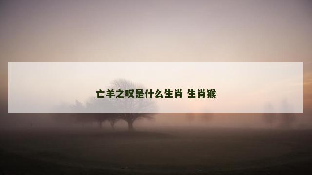 亡羊之叹是什么生肖 生肖猴