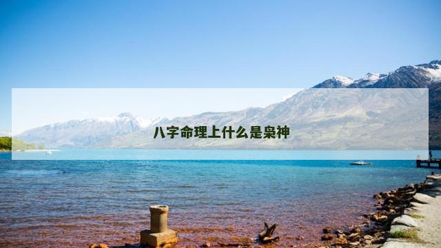 八字命理上什么是枭神