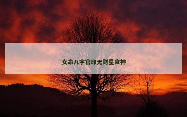 女命八字官印无财星食神