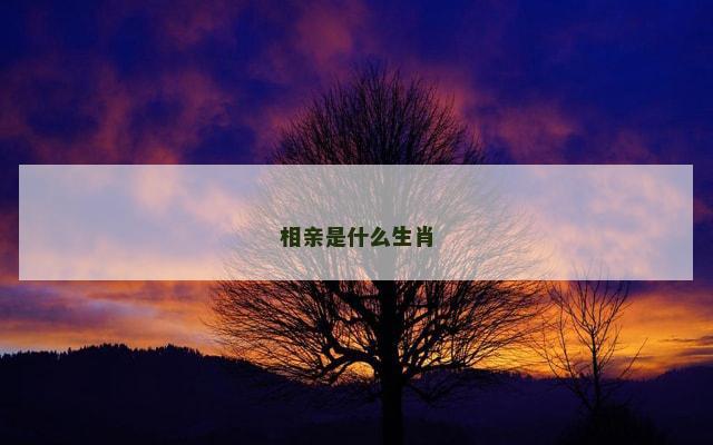 相亲是什么生肖