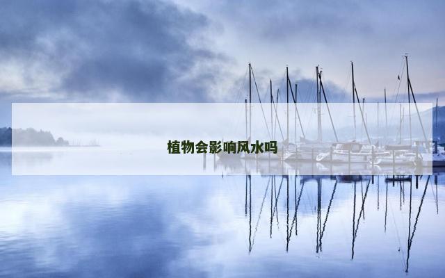 植物会影响风水吗