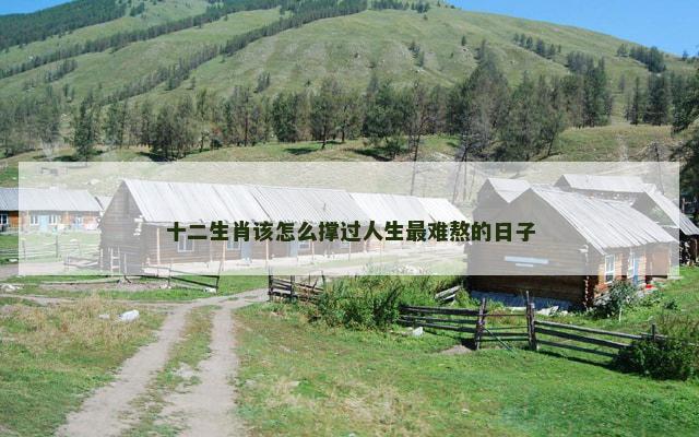 十二生肖该怎么撑过人生最难熬的日子