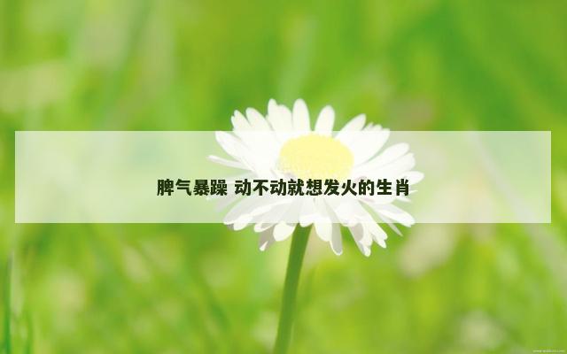脾气暴躁 动不动就想发火的生肖