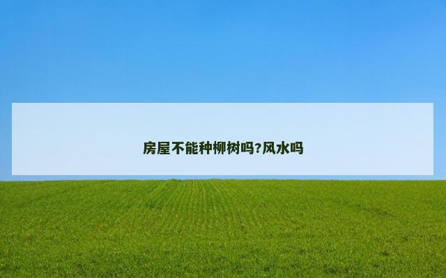 房屋不能种柳树吗?风水吗
