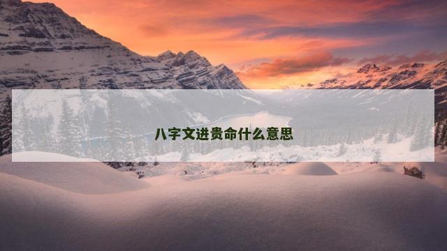 八字文进贵命什么意思