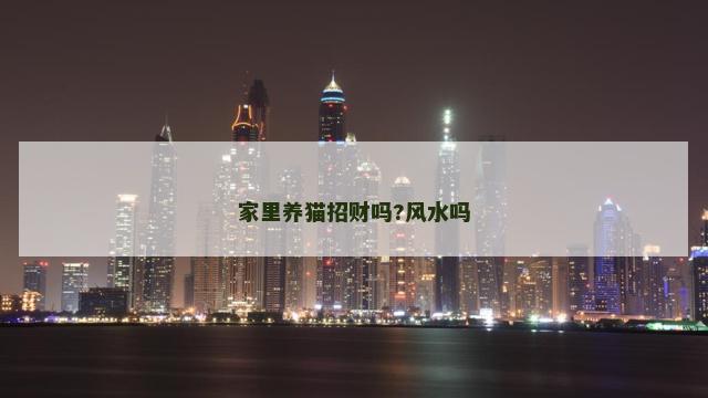 家里养猫招财吗?风水吗