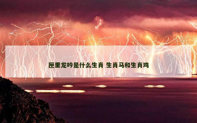 匣里龙吟是什么生肖 生肖马和生肖鸡