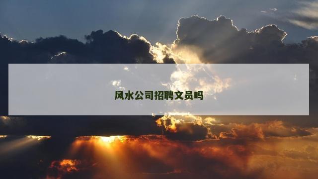 风水公司招聘文员吗