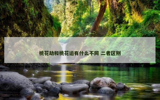 桃花劫和桃花运有什么不同 二者区别
