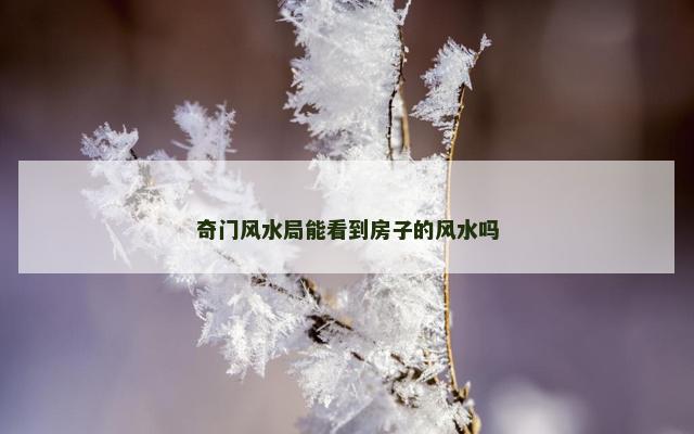 奇门风水局能看到房子的风水吗