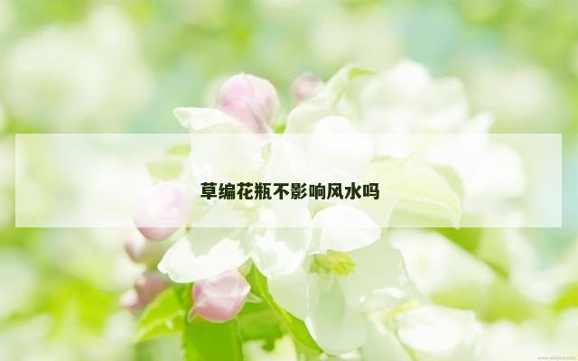 草编花瓶不影响风水吗