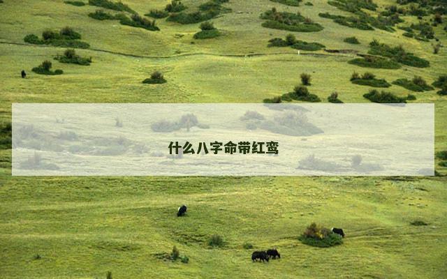 什么八字命带红鸾