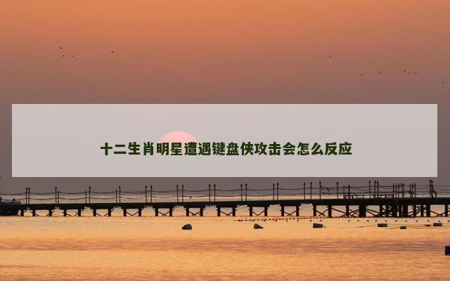 十二生肖明星遭遇键盘侠攻击会怎么反应